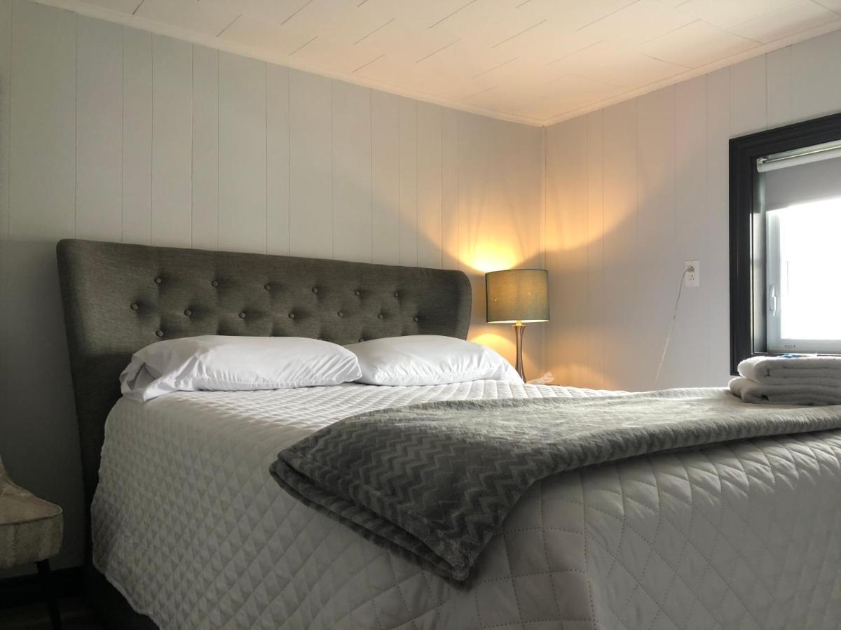 Alma'S Cape Shore Cottage! Your Home Away From Home! Bonavista Kültér fotó